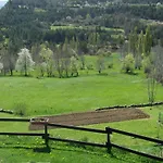 Basajarau