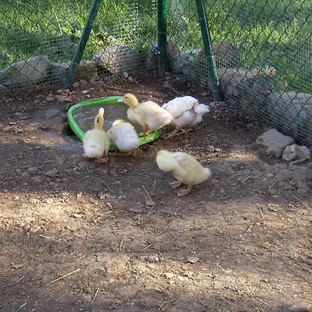 Landhuis Basajarau Yosa de Sobremonte