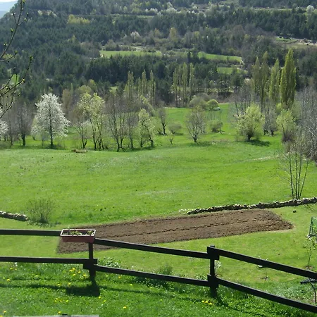 Basajarau