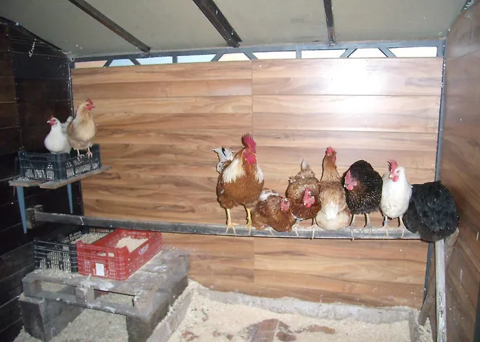 Casa di campagna Basajarau