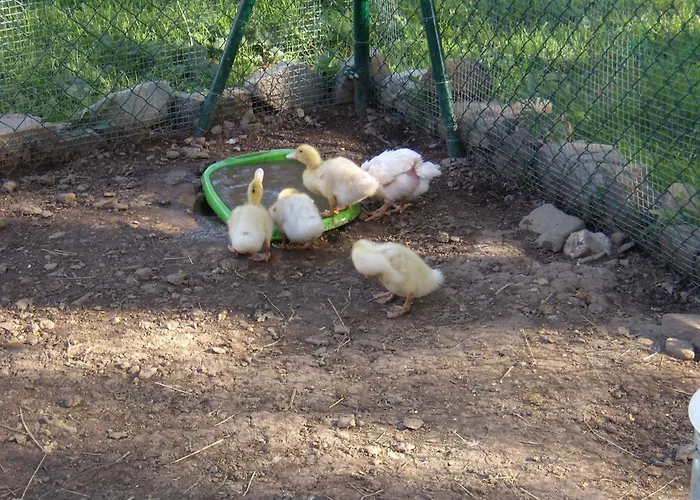 Casa di campagna Basajarau Yosa de Sobremonte