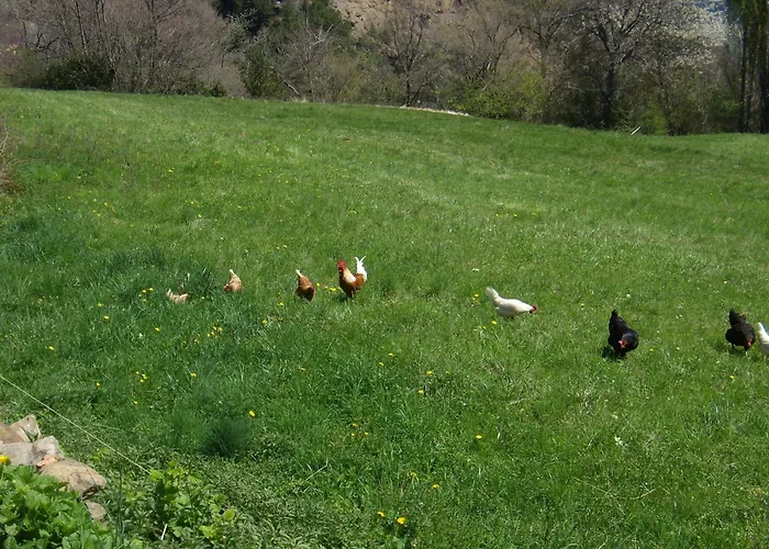 Casa di campagna Basajarau